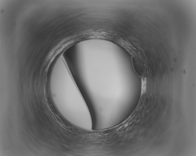 X0000084050291200702160932