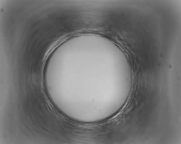 X0000084050293200702160932