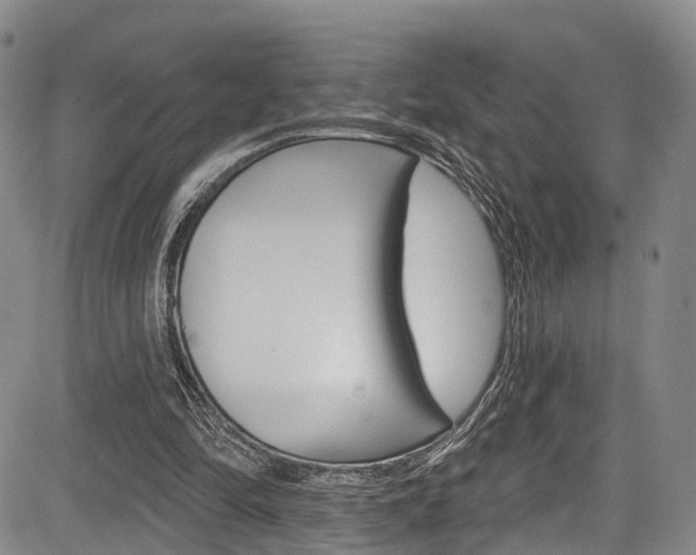 X0000084050294200702160932