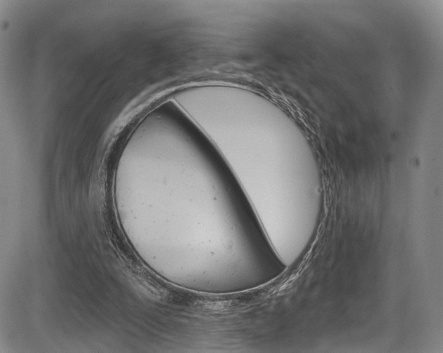 X0000084050295200702160931