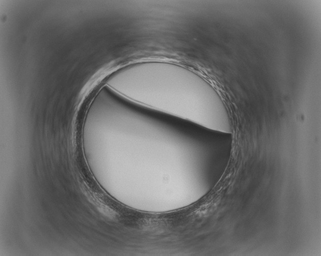 X0000084050296200702160931