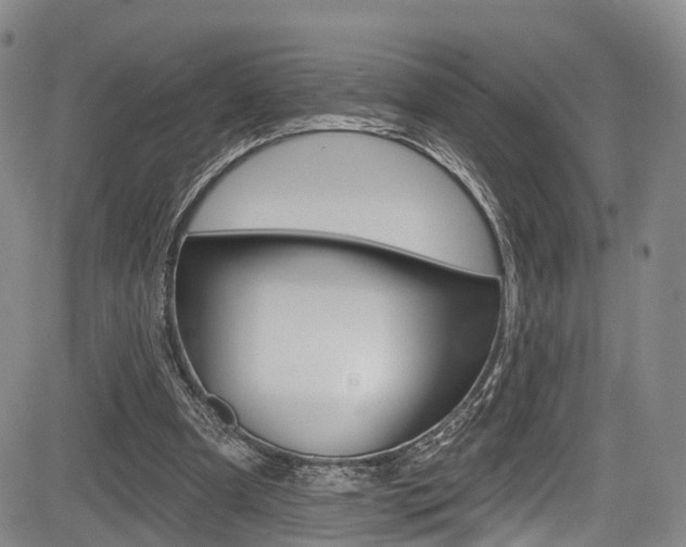 X0000084050297200702160931