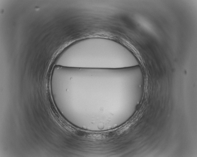 X0000084050298200702160931