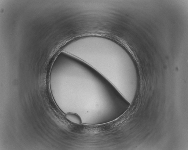 X0000084050299200702160931