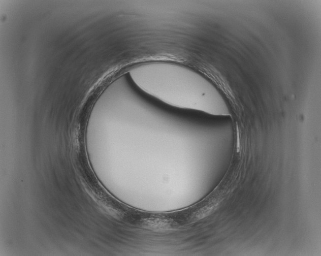 X0000084050300200702160931