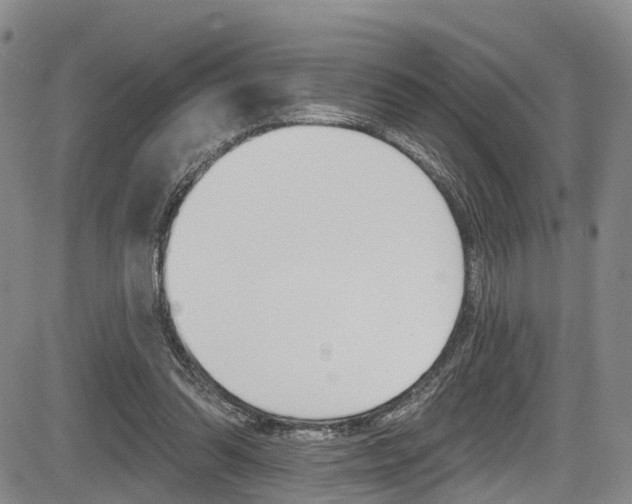 X0000084050302200702160931