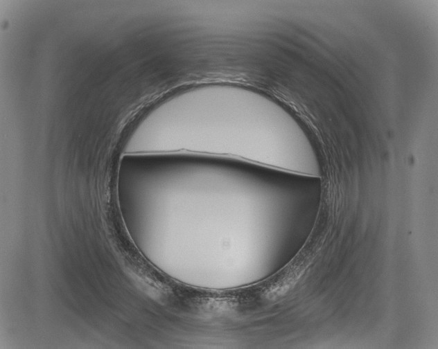 X0000084050303200702160931