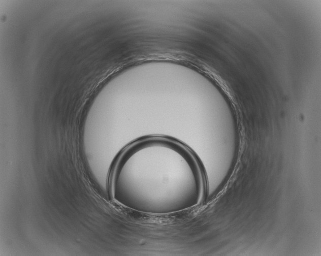 X0000084050305200702160931