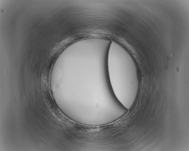 X0000084050306200702160931