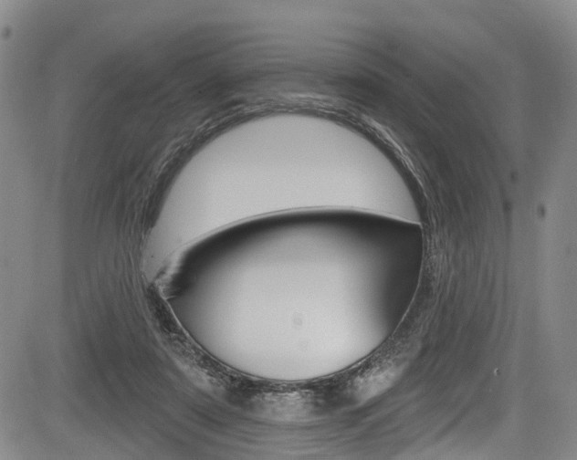 X0000084050307200702160931