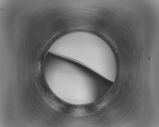 X0000084050308200702160931