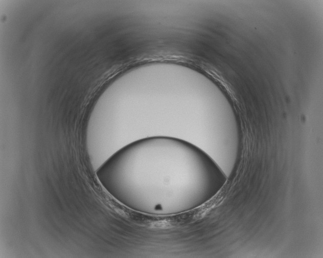 X0000084050309200702160931