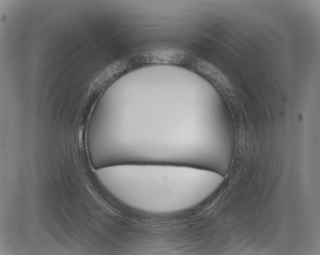 X0000084050310200702160931