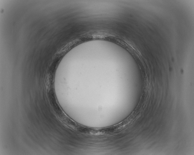 X0000084050311200702160931