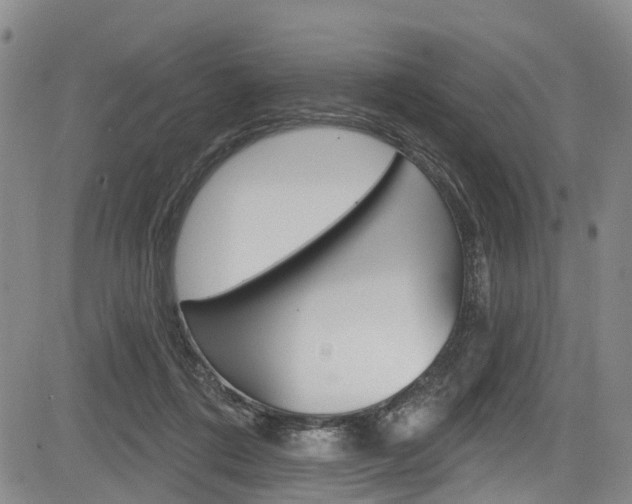 X0000084050312200702160931