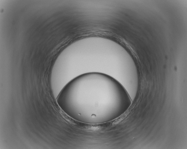 X0000084050313200702160931