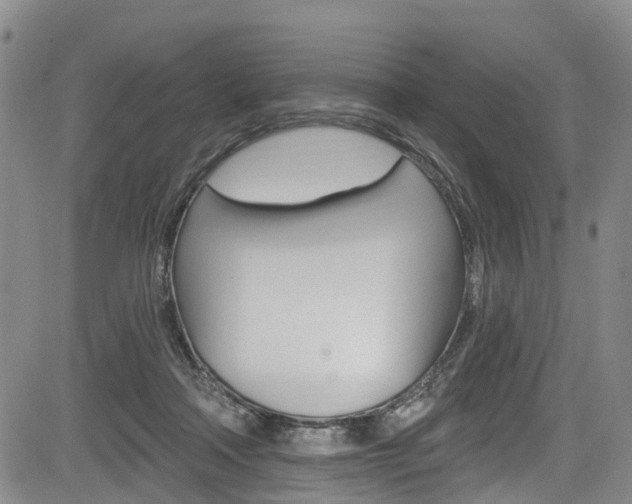 X0000084050314200702160931