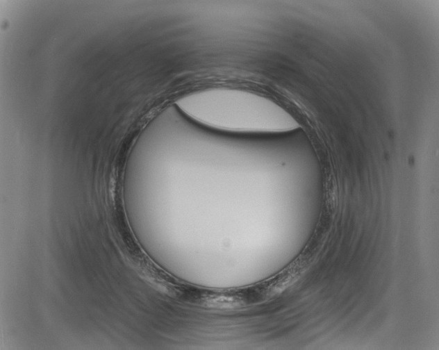 X0000084050315200702160931