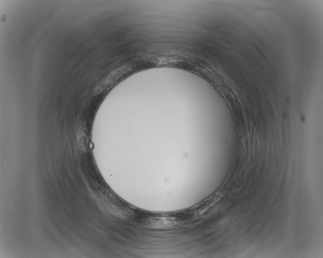 X0000084050316200702160931