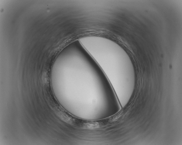 X0000084050317200702160931