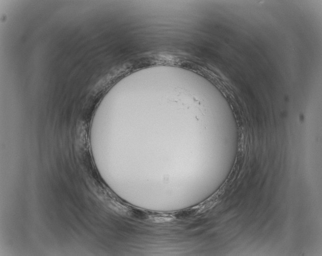 X0000084050318200702160931