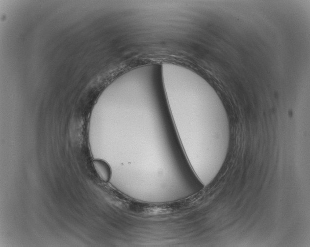 X0000084050319200702160931