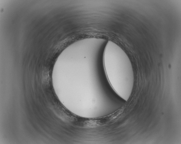 X0000084050320200702160931