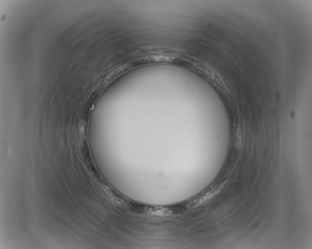 X0000084050321200702160931