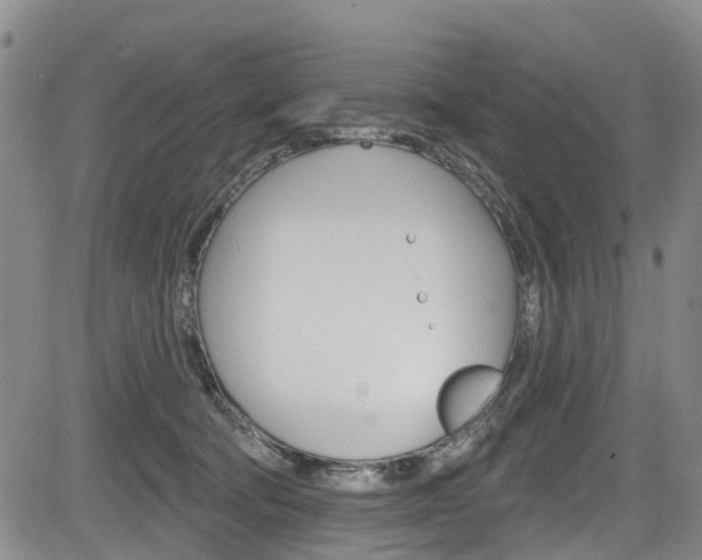 X0000084050322200702160931