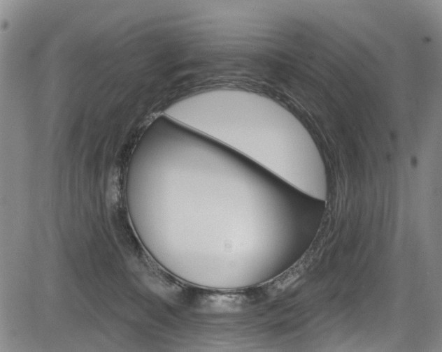 X0000084050323200702160931