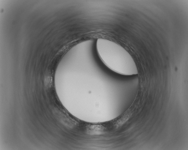 X0000084050324200702160931