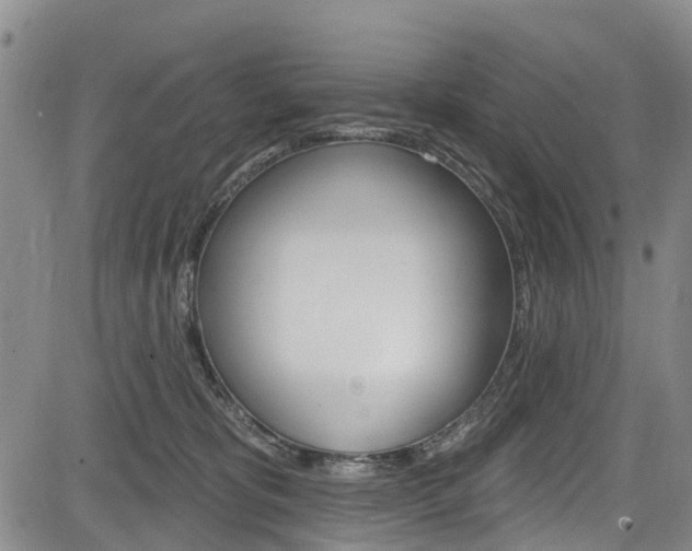 X0000084050325200702160931