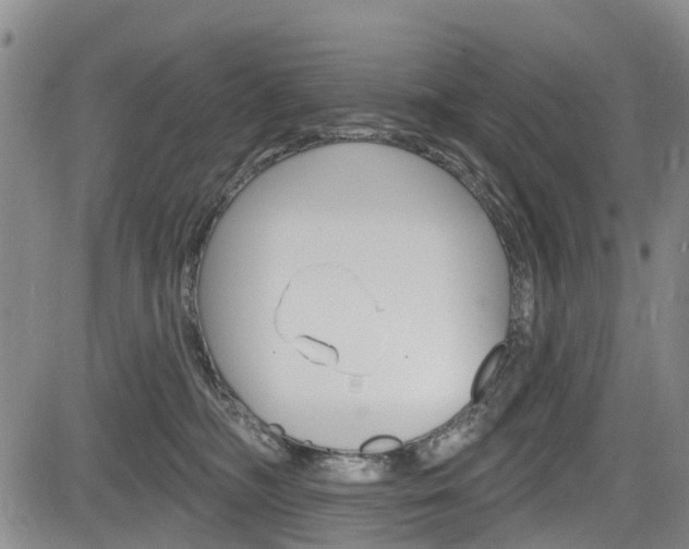 X0000084050326200702160931