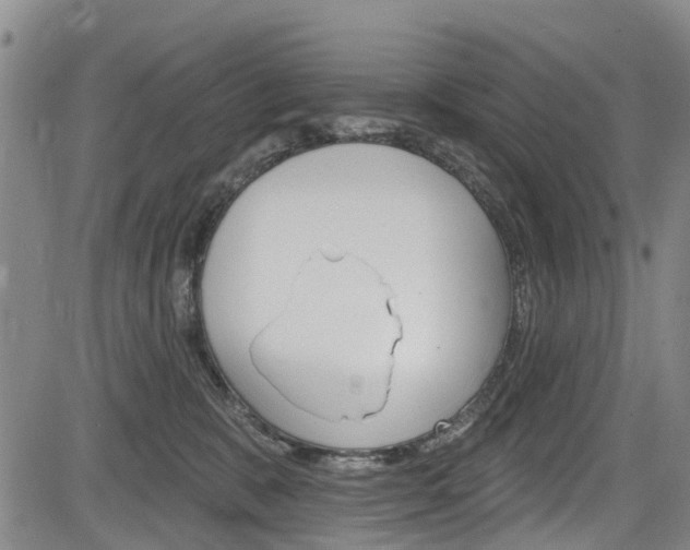 X0000084050327200702160931