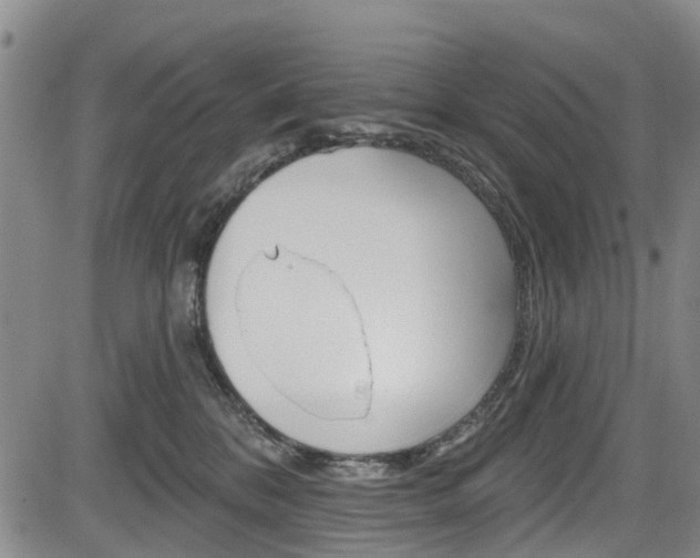 X0000084050328200702160931