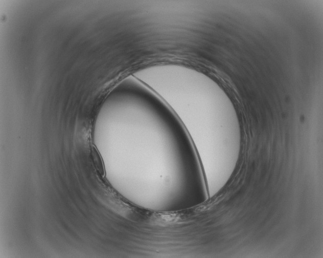 X0000084050329200702160931