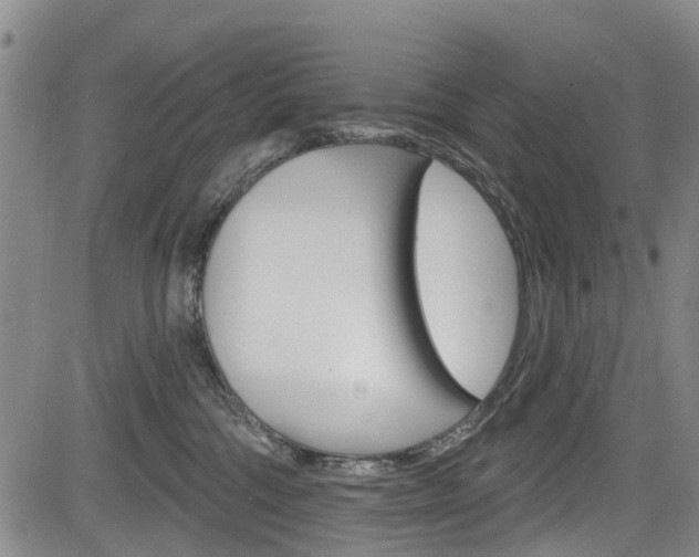 X0000084050330200702160931