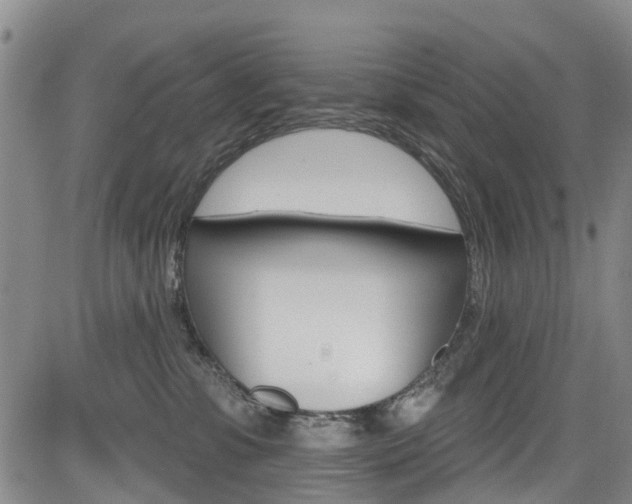 X0000084050331200702160931