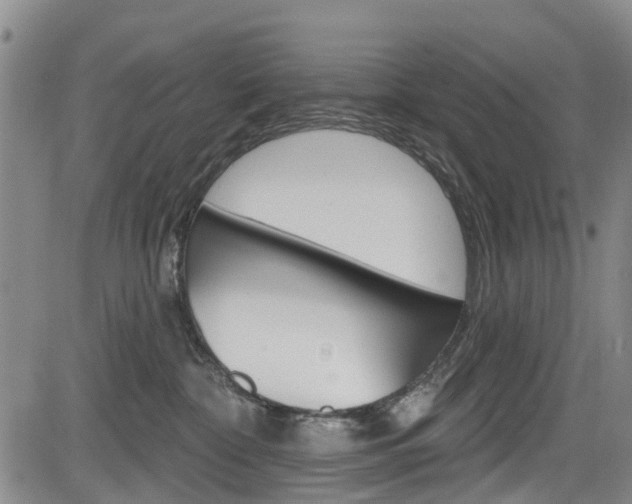 X0000084050332200702160931