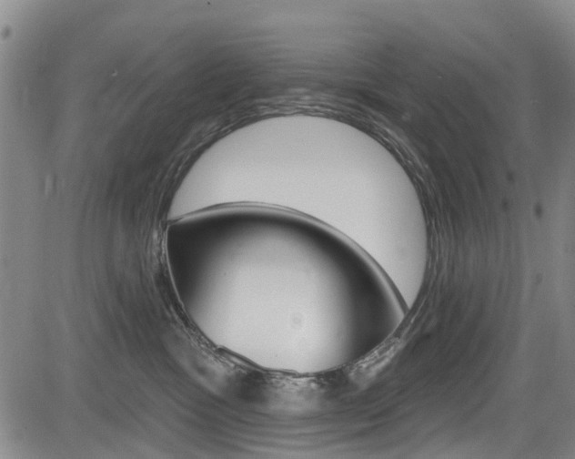 X0000084050333200702160931