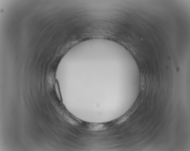 X0000084050334200702160931