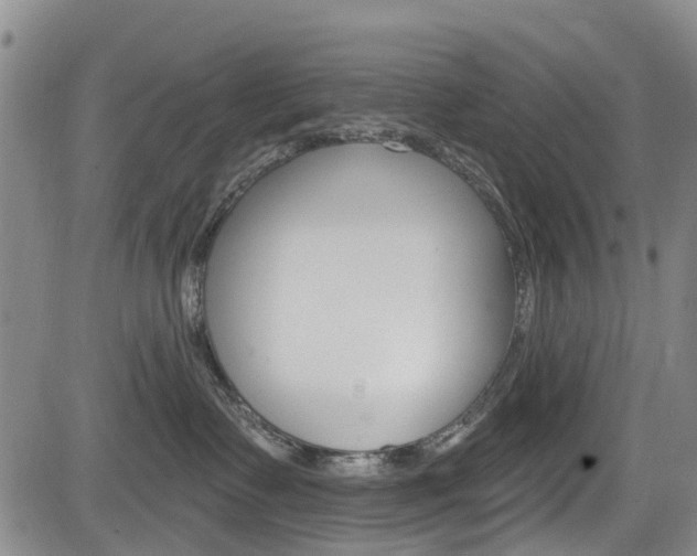 X0000084050335200702160931