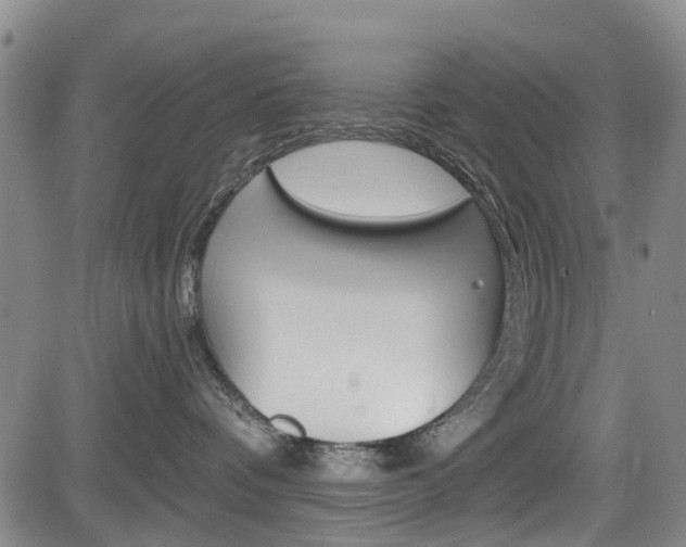 X0000084050336200702160931