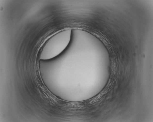 X0000084050338200702160930