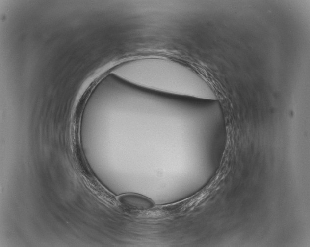 X0000084050342200702160930
