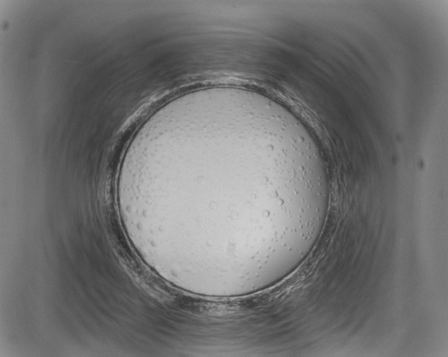 X0000084050347200702160930