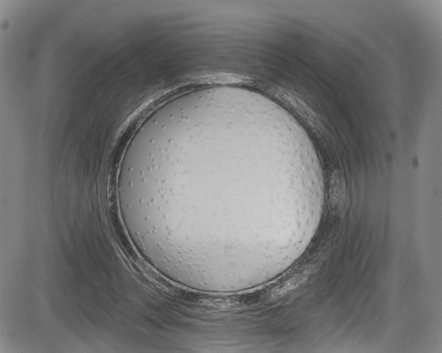 X0000084050351200702160930