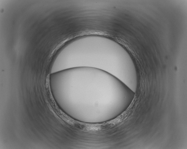 X0000084050352200702160930