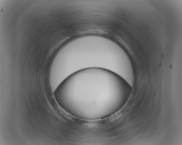 X0000084050356200702160930