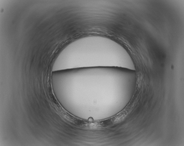 X0000084050365200702160930